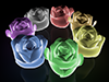 Roses ｜ Flowers ―― 3D Illustrations ｜ Free Materials ｜ Download